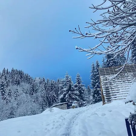 Hill Holiday home *